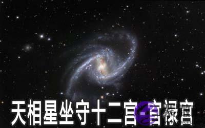 天相星坐守十二宫:官禄宫详解 天相星坐守十二宫:官禄宫详解