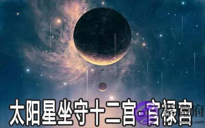 太阳星坐守十二宫：官禄宫详解