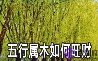 五行属木的人怎麽旺财 五行属木的人怎麽旺财