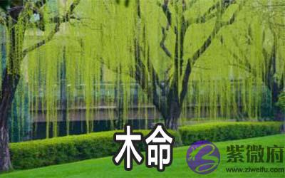 木命有哪几种 哪些年出生