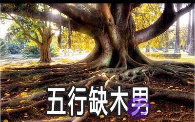 五行缺木的男人要怎麽做