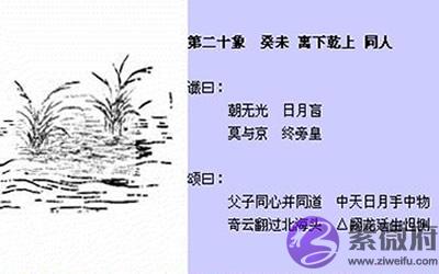 袁天罡推背图第20象详解 袁天罡推背图第20象详解
