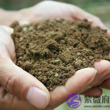 五行缺土的人发不了财吗 五行缺土的人发不了财吗