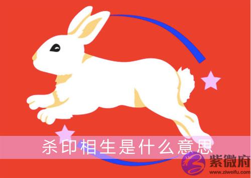 杀印相生是什麽意思（详解）