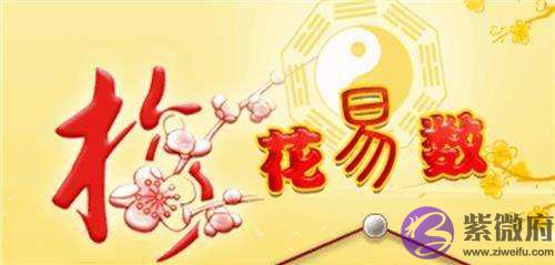 梅花易数怎麽起卦解挂 梅花易数怎麽起卦解挂