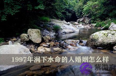 1997年涧下水命的人婚姻怎麽样 1997年涧下水命的人婚姻怎麽样