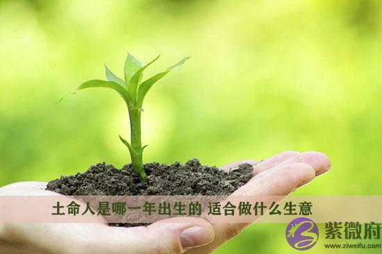 土命人是哪一年出生的 适合做什麽生意 土命人是哪一年出生的 适合做什麽生意
