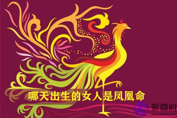 哪天出生的女人是凤凰命