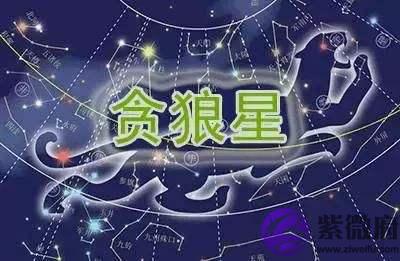 贪狼在夫妻宫是什麽意思 贪狼在夫妻宫解析 贪狼在夫妻宫是什麽意思 贪狼在夫妻宫解析