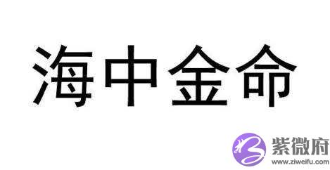 海中金命的女人命理解析