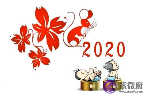 2020年出生的人是什麽命