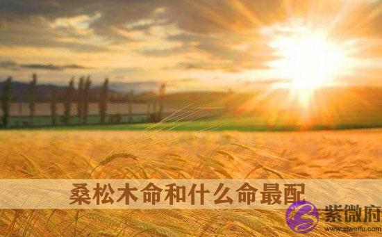 桑松木命是什麽意思 桑松木命和什麽命最配