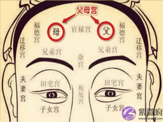 父母宫无主星命理解析