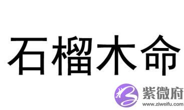 什麽是石榴木命 石榴木命的女人命运怎麽样 什麽是石榴木命 石榴木命的女人命运怎麽样