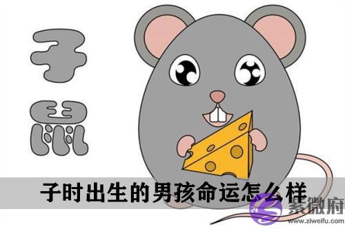子时出生的男孩命运怎麽样 子时出生的男孩命运怎麽样