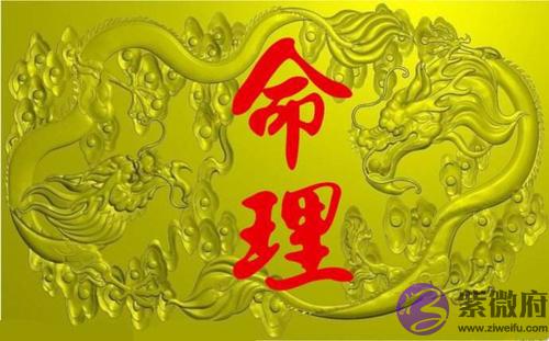 子午冲是什麽意思