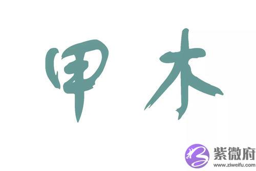八字身弱甲木女命理分析