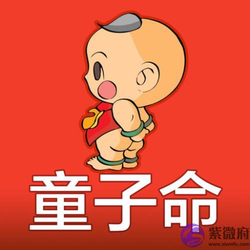 童子命查询日期表 童子命生肖月份查询 童子命查询日期表 童子命生肖月份查询