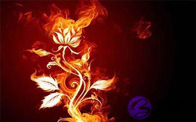 喜用神为火的人要注意什麽 八字喜火的建议 喜用神为火的人要注意什麽 八字喜火的建议