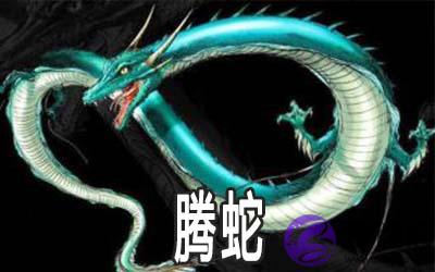 六爻八卦中腾蛇有什麽作用