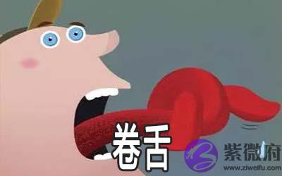 八字神煞:卷舌详解 八字神煞:卷舌详解