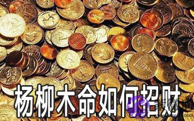 杨柳木命的人怎麽做可以招财 杨柳木命的人怎麽做可以招财