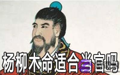 杨柳木命的人怎麽样 适合当官吗 杨柳木命的人怎麽样 适合当官吗