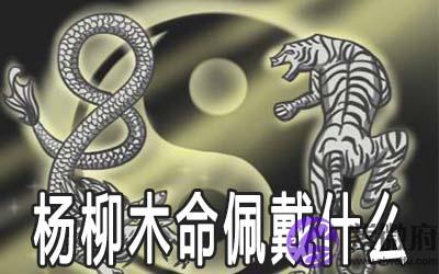 杨柳木命的人佩戴什麽可以旺财 杨柳木命的人佩戴什麽可以旺财