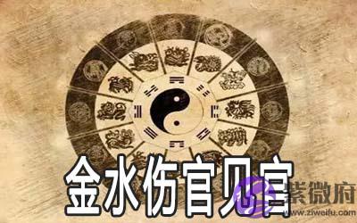 金水伤官见官是富贵命吗 有何说法 金水伤官见官是富贵命吗 有何说法