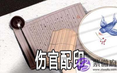 生辰中的伤官佩印什麽意思 有什麽说法