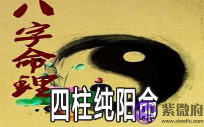 四柱纯阳命有什麽优缺点 四柱纯阳命有什麽优缺点