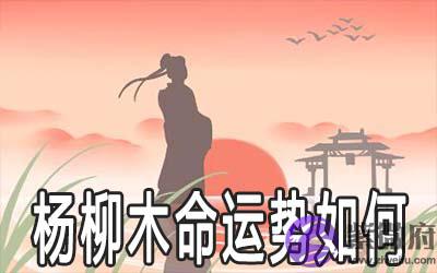 杨柳木命的人命运好不好 运势如何 杨柳木命的人命运好不好 运势如何