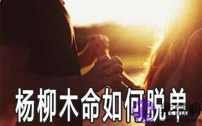 杨柳木命的人怎麽做可以脱单