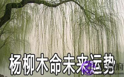 杨柳木命的人未来的运势怎麽样 杨柳木命的人未来的运势怎麽样