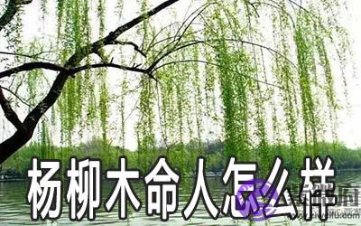杨柳木命的人怎麽样 是富贵命吗