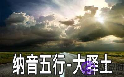 八字纳音五行解析——大驿土 八字纳音五行解析——大驿土