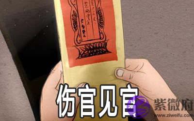 什麽是伤官见官 真假伤官见官有何说法 什麽是伤官见官 真假伤官见官有何说法