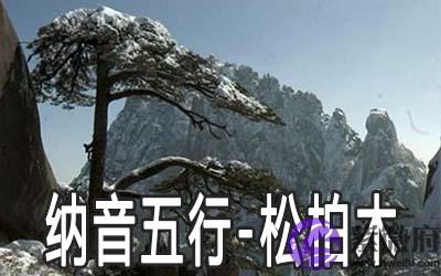 八字纳音五行:松柏木命详解 八字纳音五行:松柏木命详解