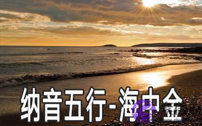 八字纳音五行：海中金命详解