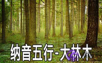 八字纳音五行解析——大林木 八字纳音五行解析——大林木