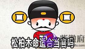松柏木命的人怎麽样 适合当官吗