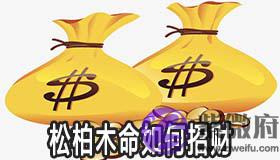 松柏木命的人怎麽做招财