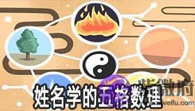 姓名学的五格数理怎麽查询 有什麽方法 姓名学的五格数理怎麽查询 有什麽方法