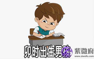 卯时出生的男孩怎麽样 有好命吗 卯时出生的男孩怎麽样 有好命吗