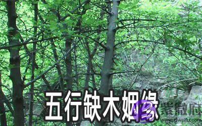 2020年五行缺木的人有什麽样的姻缘