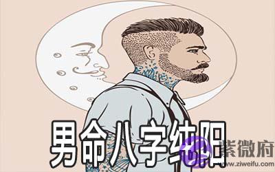 男命八字纯阳命运怎麽样