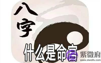 八字命理告诉你什麽是命宫