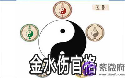 八字详解金水伤官格是什麽 
