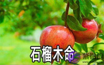 石榴木命的人运势不好怎麽办