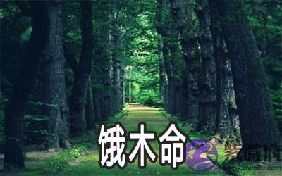 饿木命适合做什麽 忌讳什麽